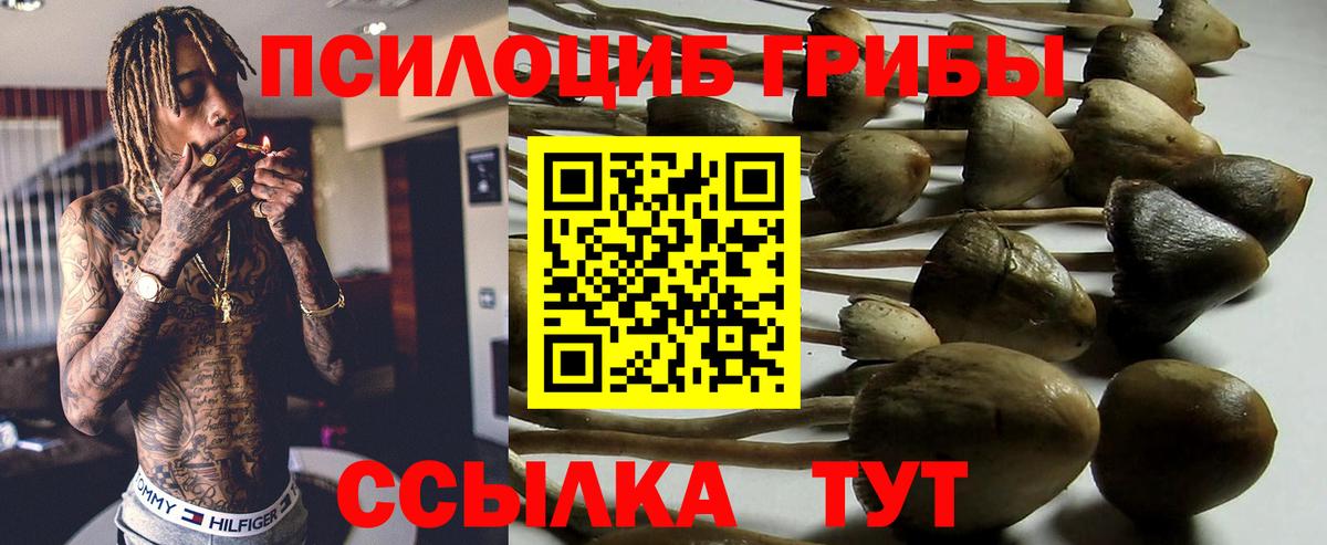 Псилоцибиновые грибы мухоморы  Вход с VPN  Павлово  Псилоцибиновые грибы мицелий 